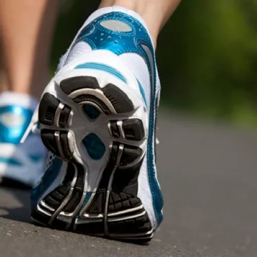 <p>Üretim bandı ve kalite kontrol sorumlusu.</p>